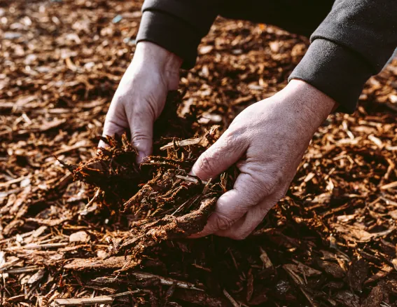 Landscape Mulching and Ground Cover image