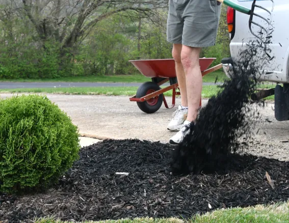 Landscape Mulching and Ground Cover in Harrisonville Missouri