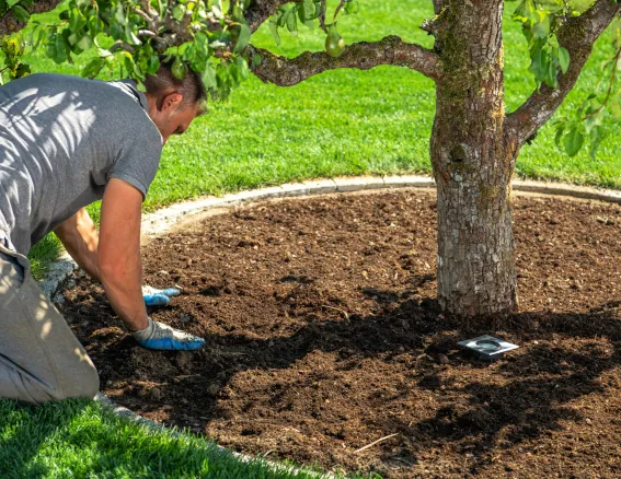 Landscape Mulching and Ground Cover in Lees Summit Missouri