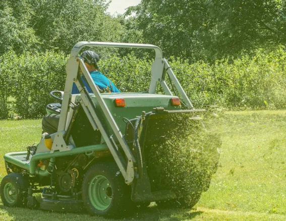 Lawn Mowing image