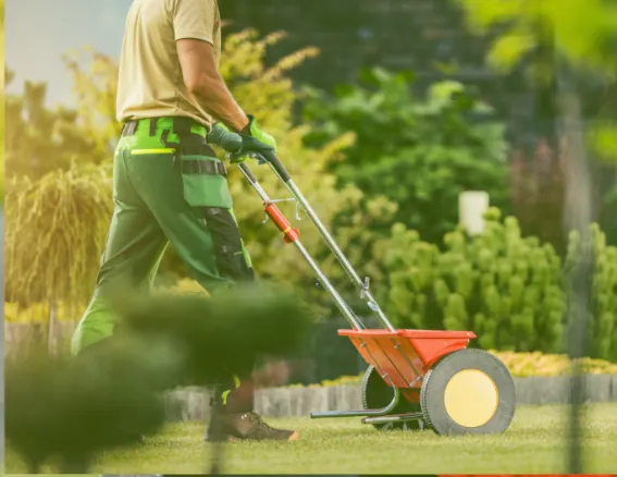 Lawn Fertilization in Harrisonville Missouri Image