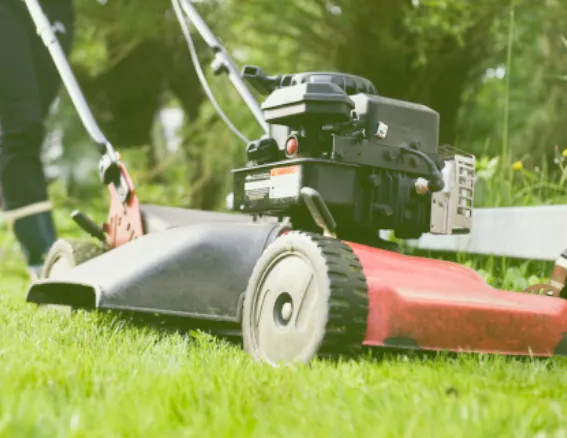 Lawn Mowing image