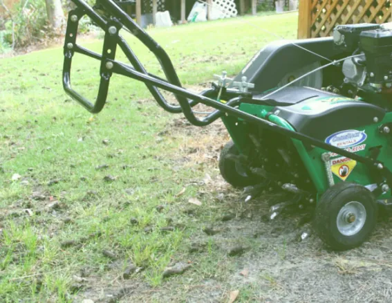 Lawn Aeration image