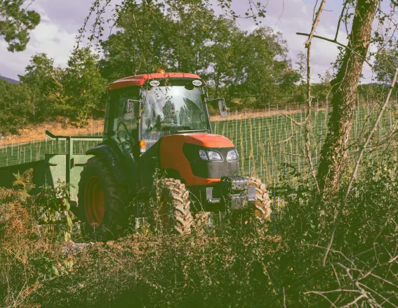 Brush Hogging in Leawood Kansas Image