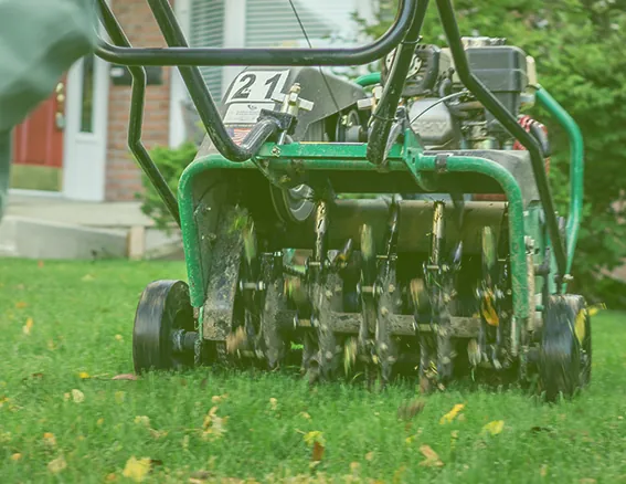 Lawn Aeration image