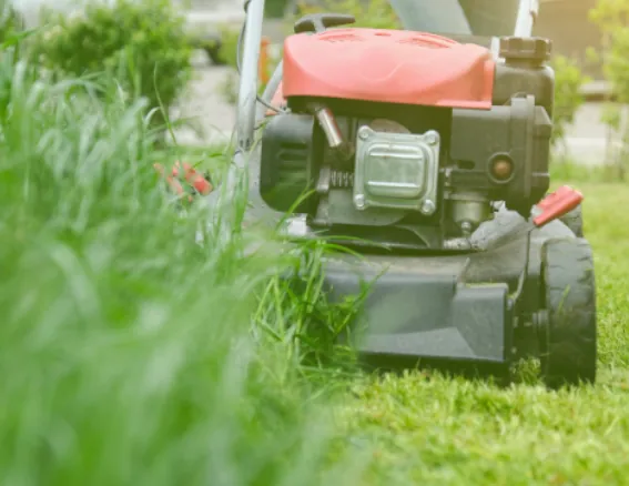 Lawn Mowing image