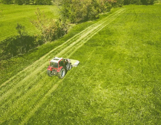 Brush Hogging in Overland Park Kansas Image