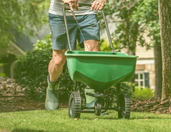 Lawn Fertilization Image