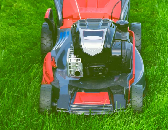 Lawn Mowing image