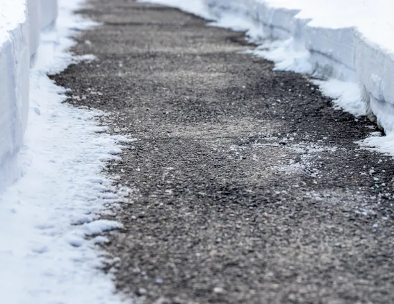 Post snow-Clearing Treatments image