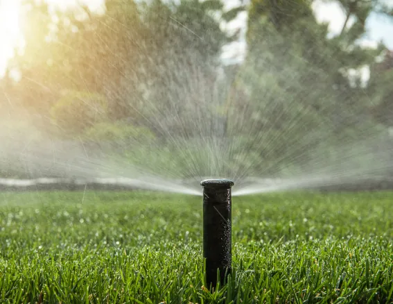 Sprinkler Winterization and Blowouts image