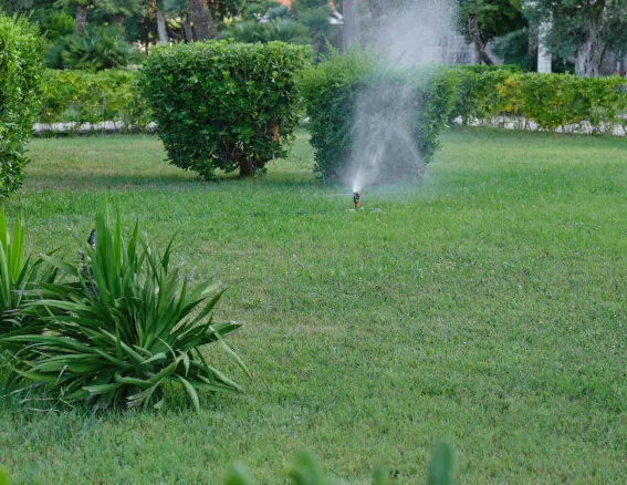 Sprinkler Winterization and Blowouts image