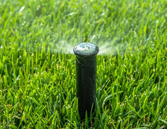 Lawn Sprinkler Water Conservation Image