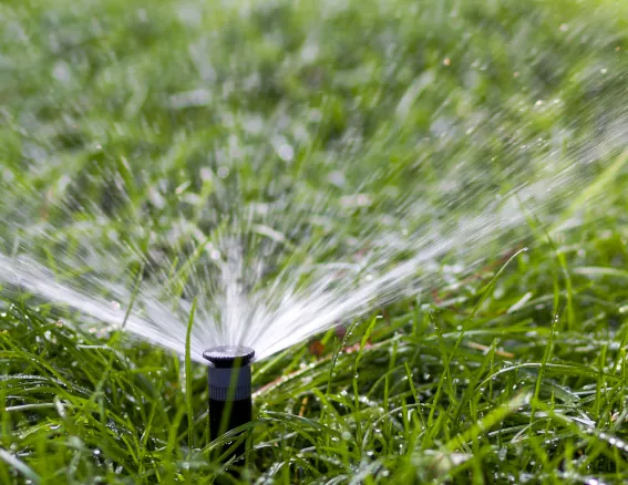 Sprinkler Winterization and Blowouts image